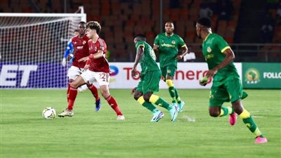 دوري أبطال أفريقيا، الأهلى يسعى لتأمين الصدارة أمام يانج أفريكانز 
