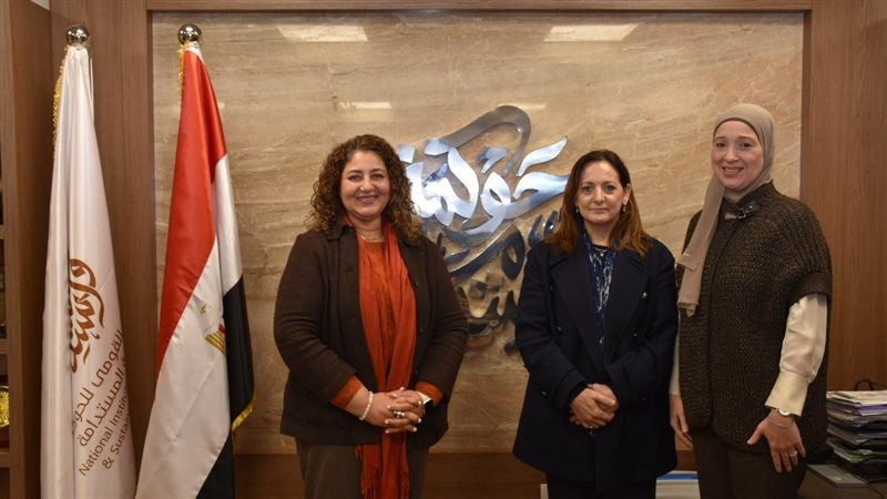 المعهد القومي للحوكمة،فيتو
