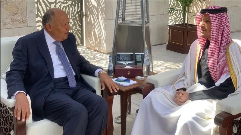 سامح شكرى وزير الخارجية