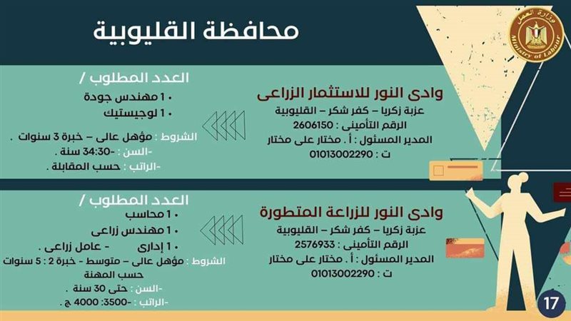 وظائف بالقليوبية،