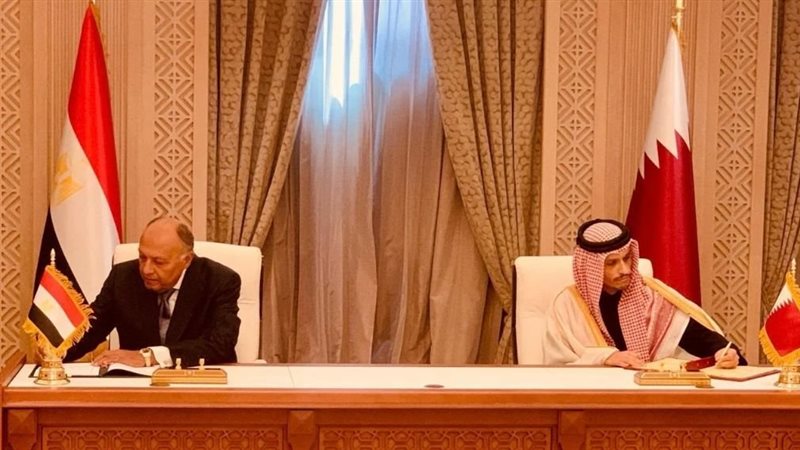 سامح شكرى وزير الخارجية