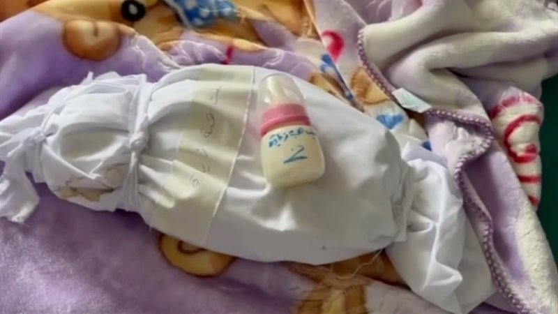 الرضيعة هبة زيادة،