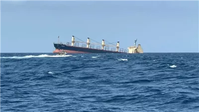 نشطاء البيئة يطالبون بانقاذ البحر الأحمر من كارثة غرق السفينة روبيمار