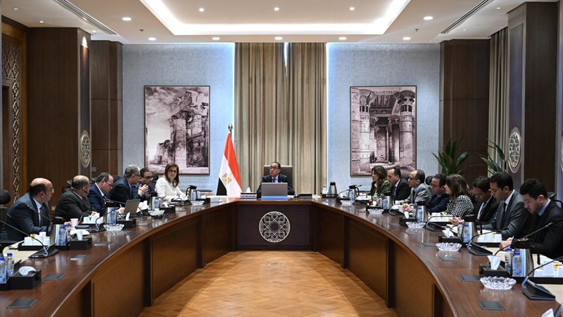 مصطفى مدبولي، فيتو