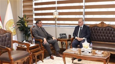 محافظ القاهرة: 2600 منفذ ثابت ومتحرك لتوفير السلع الأساسية للمواطنين