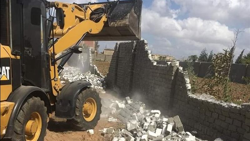 جانب من الحملة، فيتو