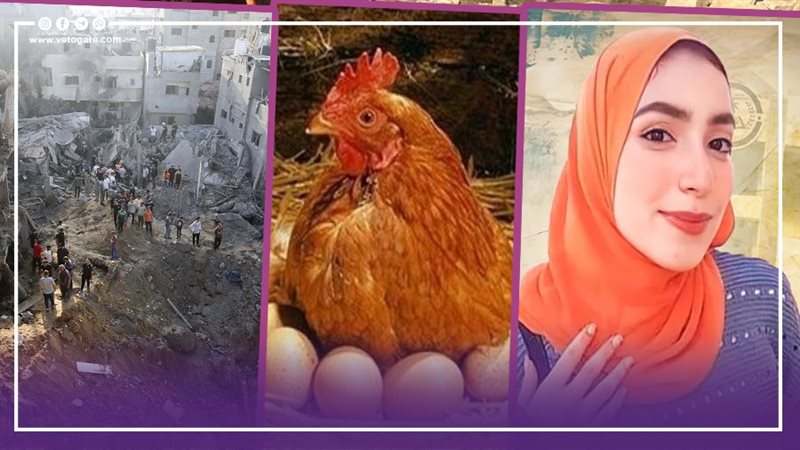  نشرة الأخبار،فيتو