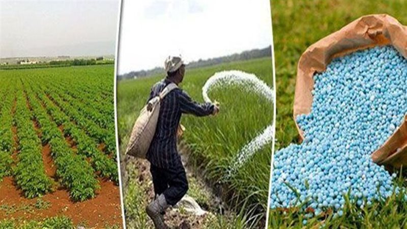 صناعة الأسمدة، فيتو