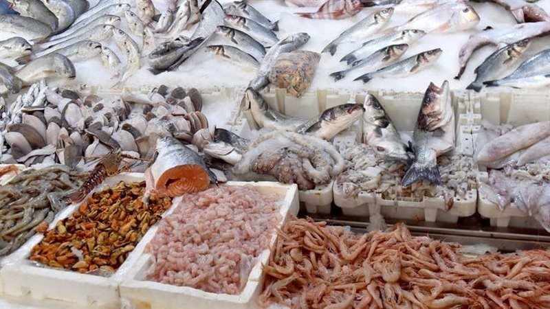  أسعار الأسماك اليوم،