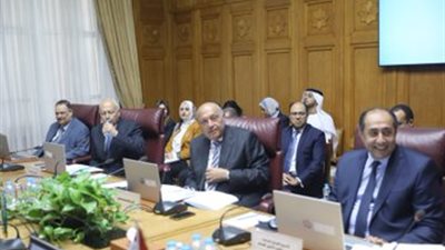 شكري يشارك باللجنة الوزارية العربية المعنية بمتابعة التدخلات التركية بشئون الدول (صور) 