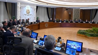 مدبولي: التنسيق بين الحكومة والبنك المركزي لمراقبة الأسواق بعد قرار تحرير سعر الصرف