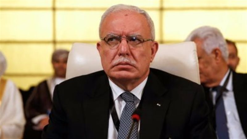 رياض المالكى، فيتو
