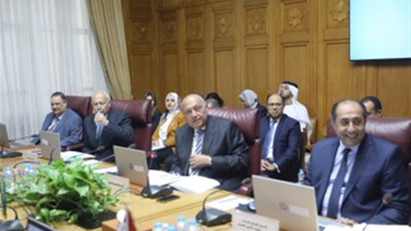 سامح شكرى وزير الخارجية،