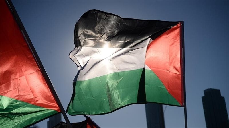 فلسطين، فيتو