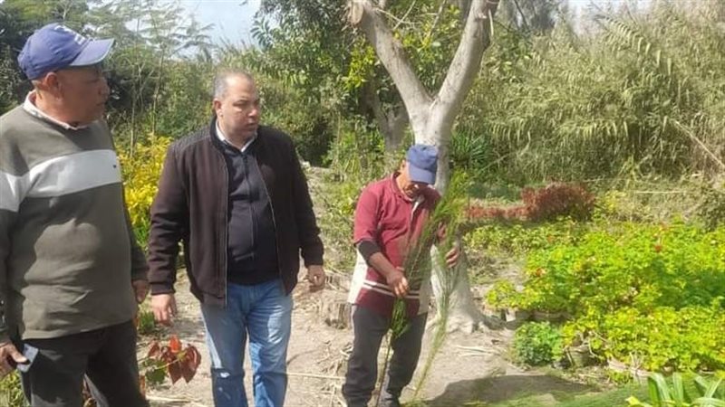 شجرة المبادرة بالبحيرة،