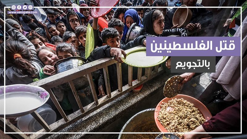 غزة، فيتو