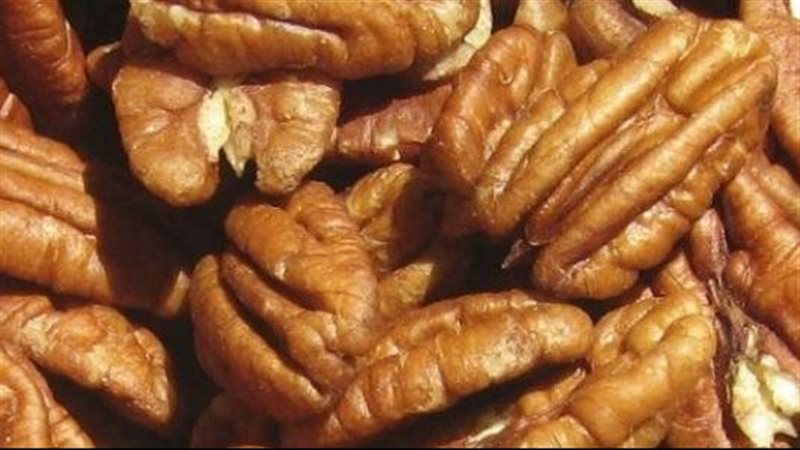فوائد عين الجمل،