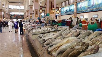 تفسير حلم شراء السمك في المنام وعلاقته بالحصول على ثروة كبيرة 