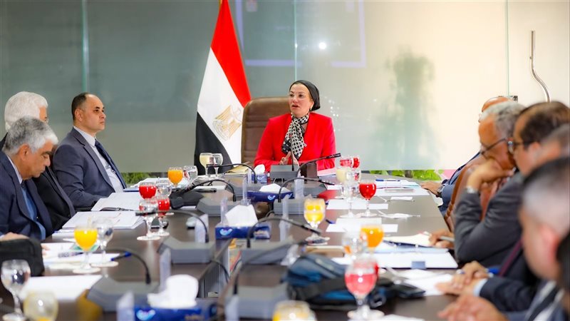 الدكتورة يأسمين فؤاد