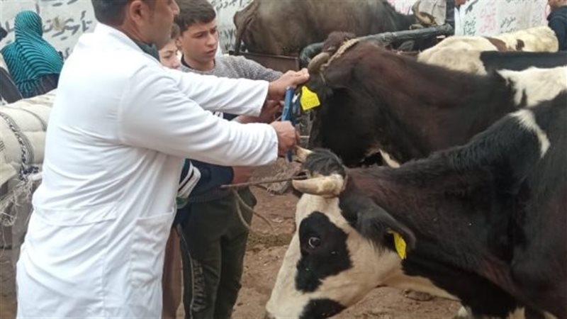 تحصين 160 ألف رأس