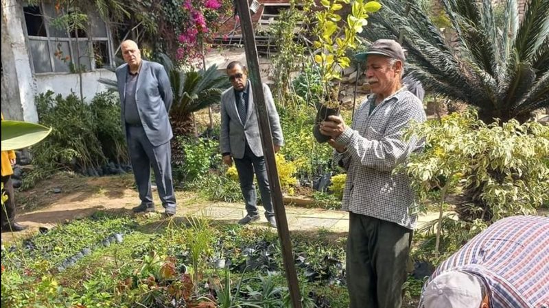زراعة الاشجار بالدقهلية،
