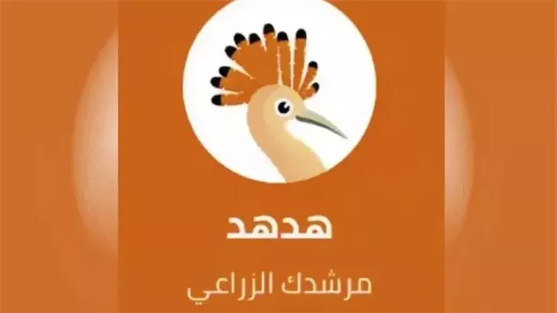 تطبيق هدهد للإرشاد