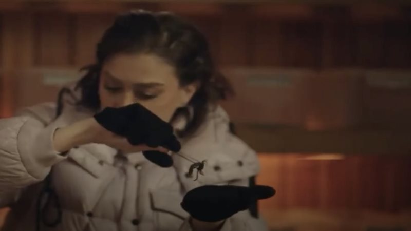 غادة عبد الرازق،