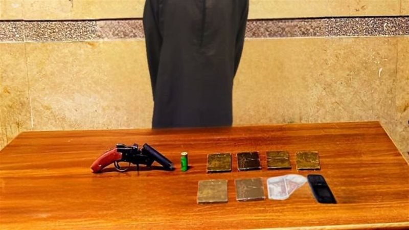 ضبط 9 عناصر إجرامية