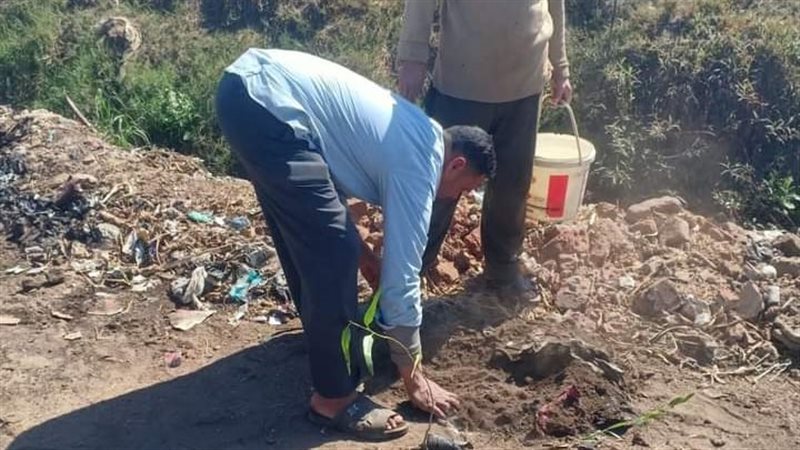 جانب من زراعة الشجر