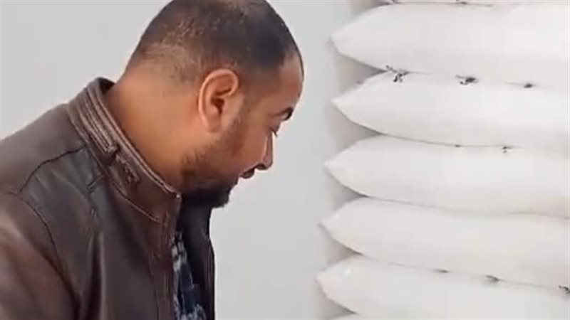 جانب من حملات تموينية