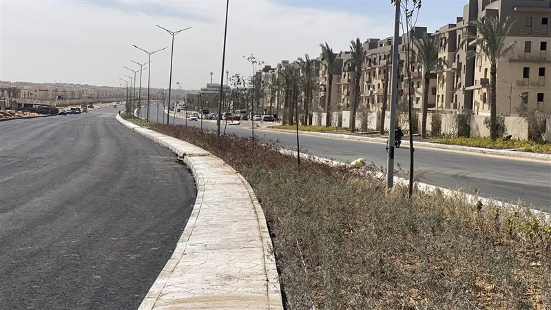 طرق القاهرة الجديدة؛