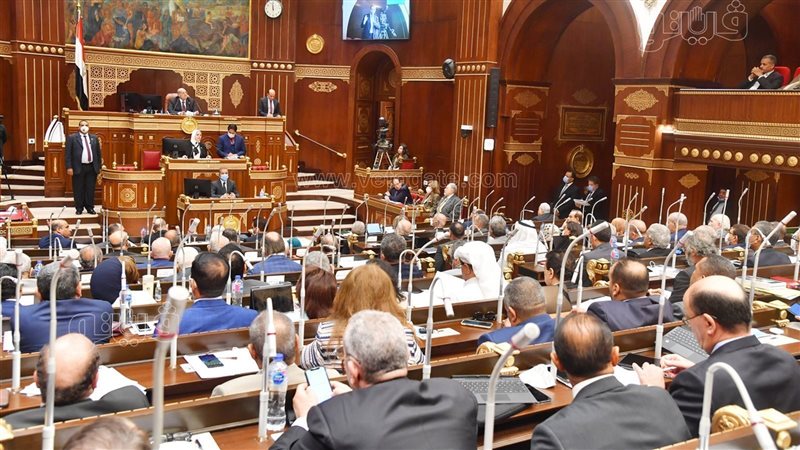 مجلس الشيوخ، فيتو