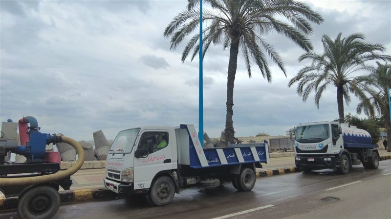 الإسكندرية، فيتو