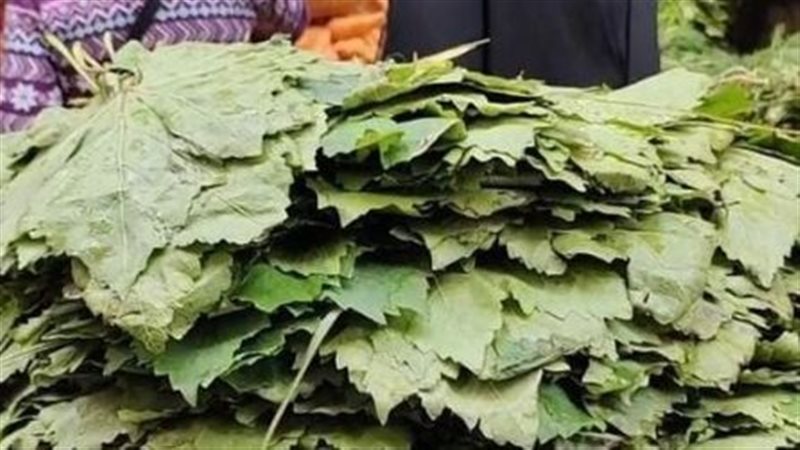  أسعار الخضراوات