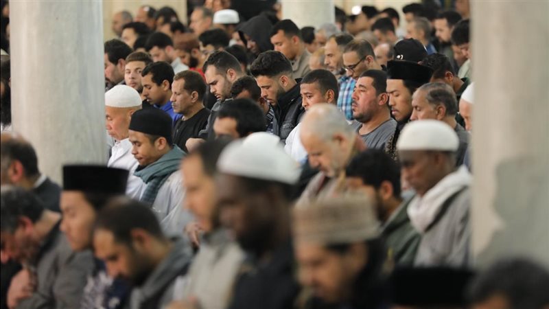 القدر المناسب من