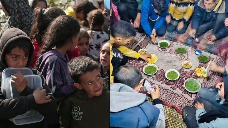 الأوضاع في غزة، فيتو