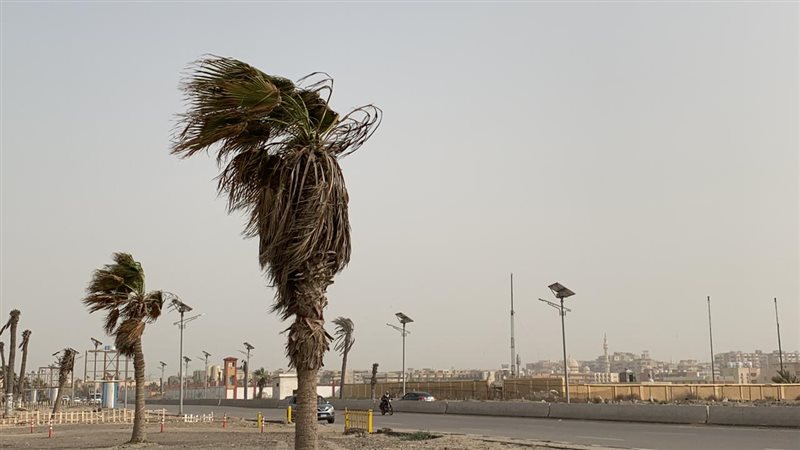 حالة الطقس غدا، فيتو