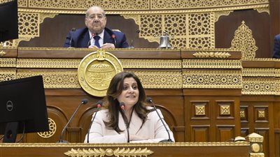 وزيرة الهجرة: إجلاء 10 آلاف من الجالية المصرية بالسودان.. وتنظيم امتحانات طلاب مصر في الخارج تحت إشراف سفاراتنا