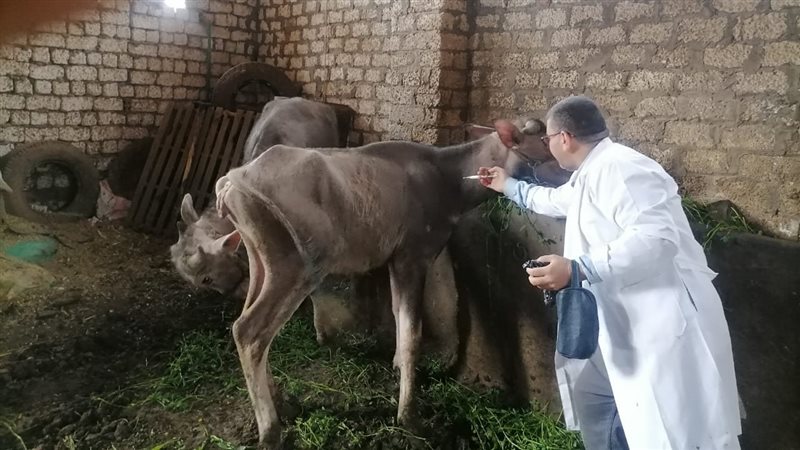 انطلاق أعمال الحملة