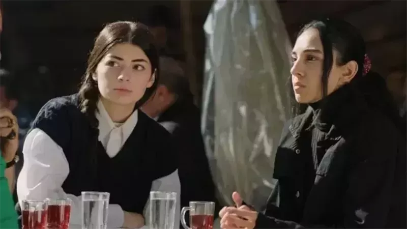 أعلى نسبة مشاهدة،