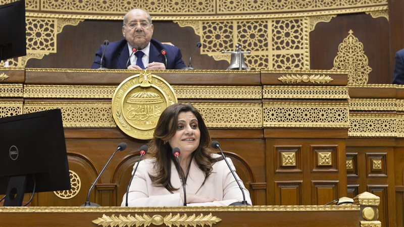 السفيرة سها جندي