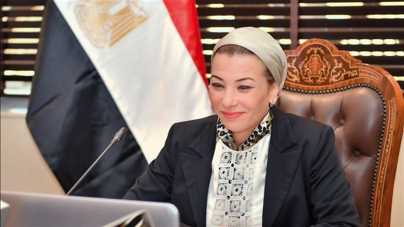 الدكتورة ياسمين فؤاد