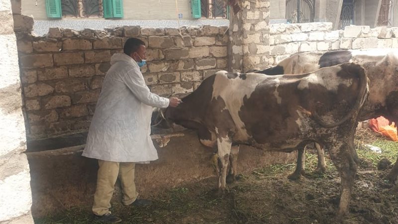 قافلة بيطرية بالبحيرة،فيتو