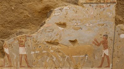 السياحة والآثار تعلن الكشف عن مصطبة من عصر الدولة القديمة بدهشور