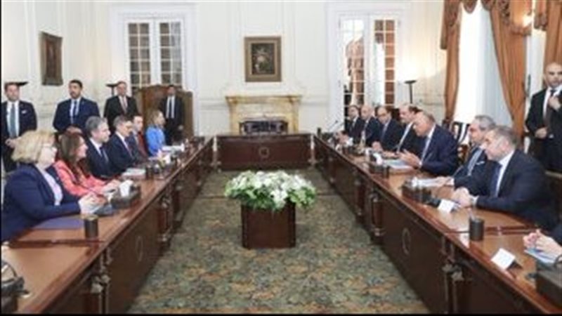 سامح شكرى وزير الخارجية