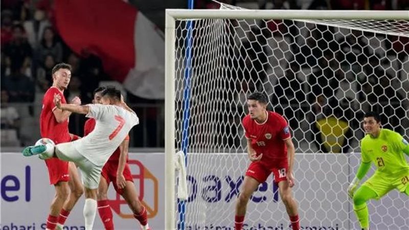 إندونيسيا وفيتنام،