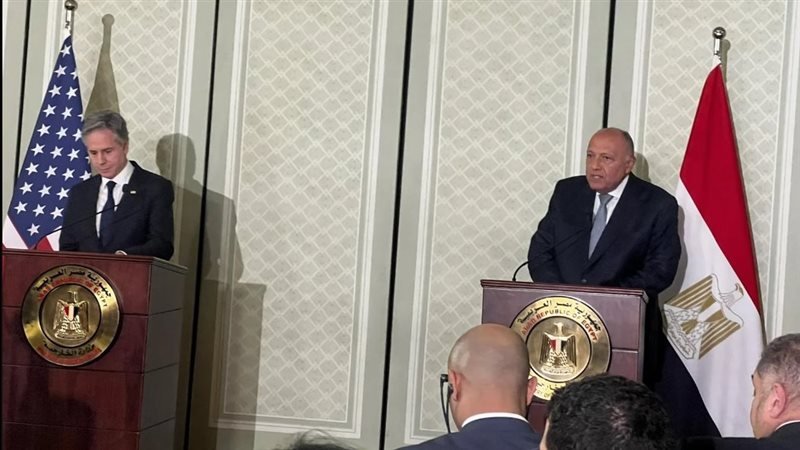 سامح شكرى وزير الخارجية
