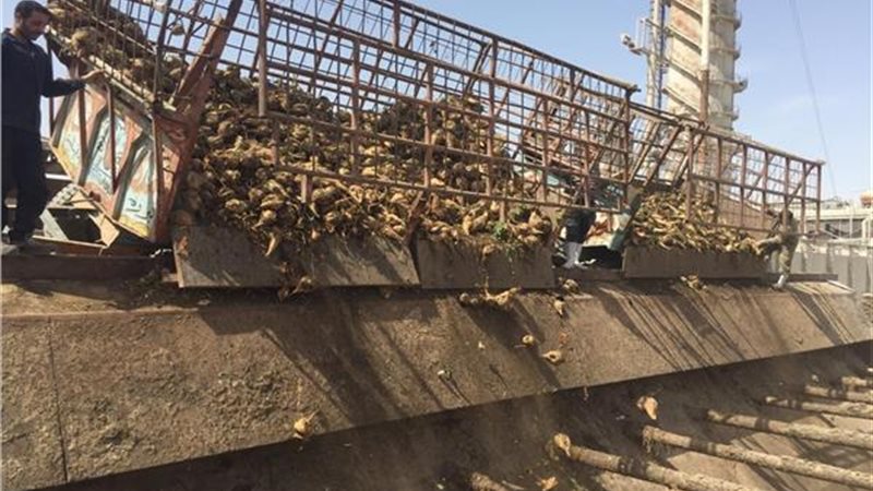 مصنع سكر أبوقرقاص،فيتو