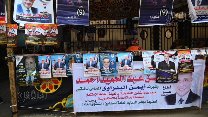 انتخابات المحامين،