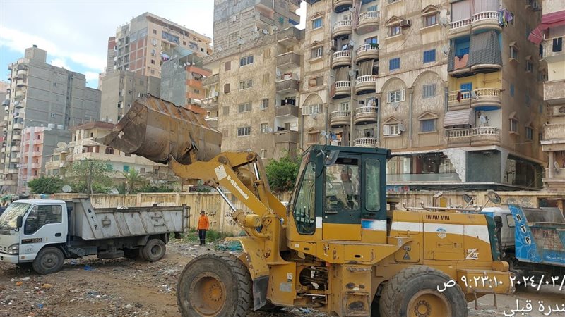الإسكندرية 